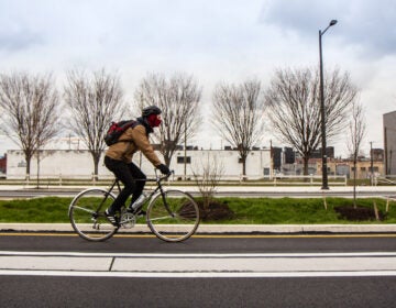 A biker uses the raised bike lanes on American Street.