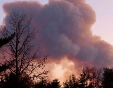 Smoke from a forest fire