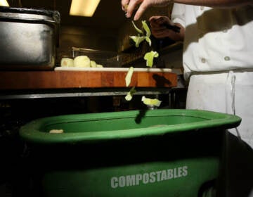 A person drops apple peels into a green bin that reads 