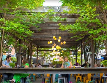 A person sits at a bar in a beer garden.