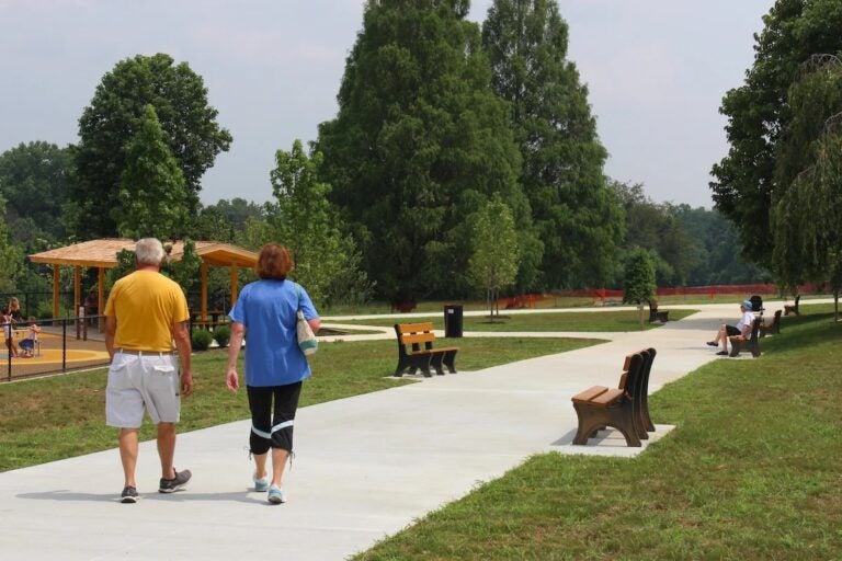 Rose Tree Park