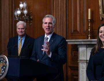 Kevin McCarthy, Tom Emmer, Elise Stefanik