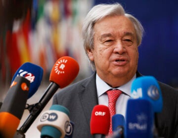 United Nations Secretary General António Guterres speaks into microphones