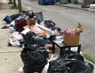 A sidewalk filled with ripped trash bags and litter