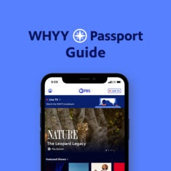澳洲幸运8开奖结果官网网站 Passport Guide newsletter logo