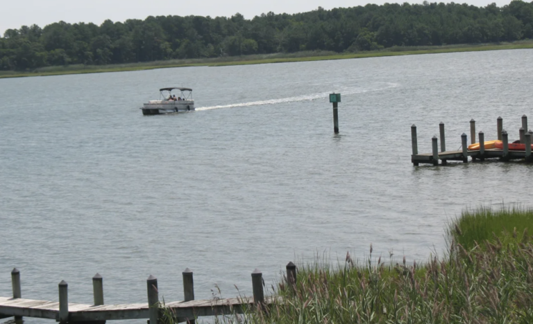 a boat driving in the bay