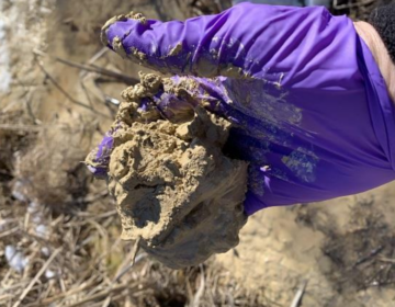 A person holding up a muddy clay-like substance.