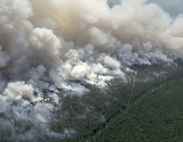 A large brush fire at Wharton State Forest on Friday, July 5, 2024. (6abc)